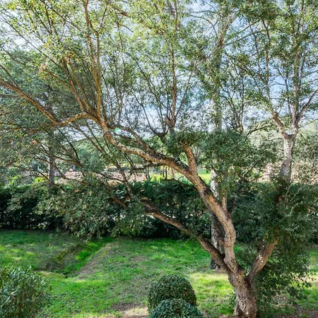 Apartment Saint-raphael Valescure - Maeva - Avec Terrasse 4 Personnes - Selection - Super Mae-7091 Saint-Raphael (Var)